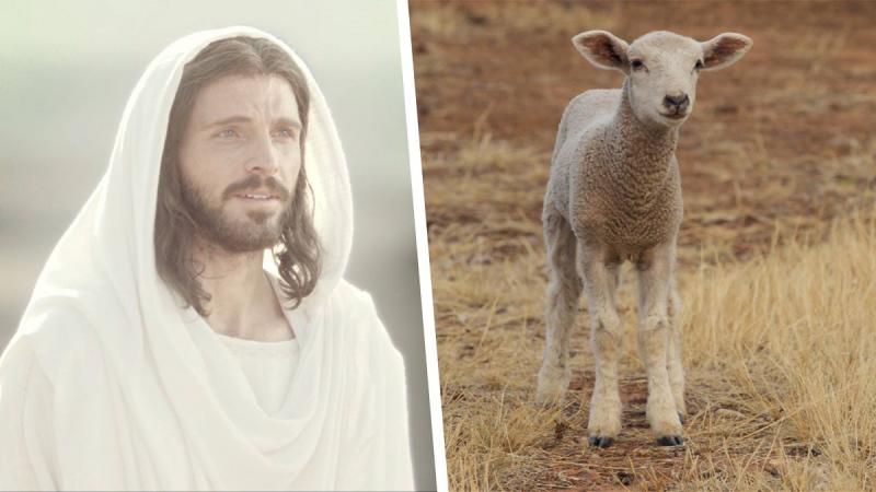 Jesus Christ as the Passover Lamb